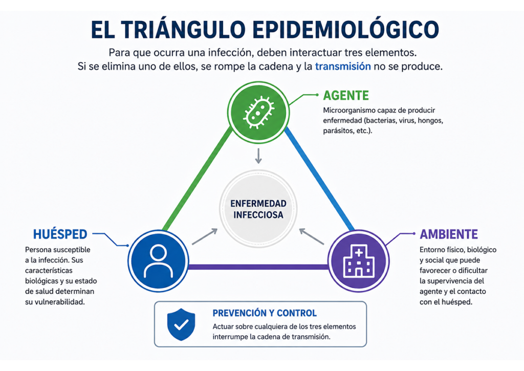 Infografía sobre el triángulo epidemiológico para la entrada de junio